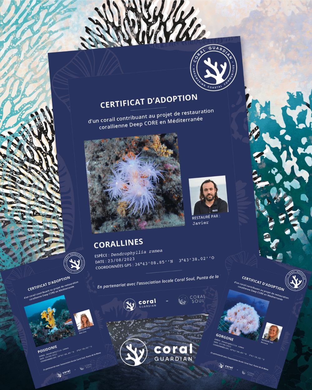 Adoption coraux.png