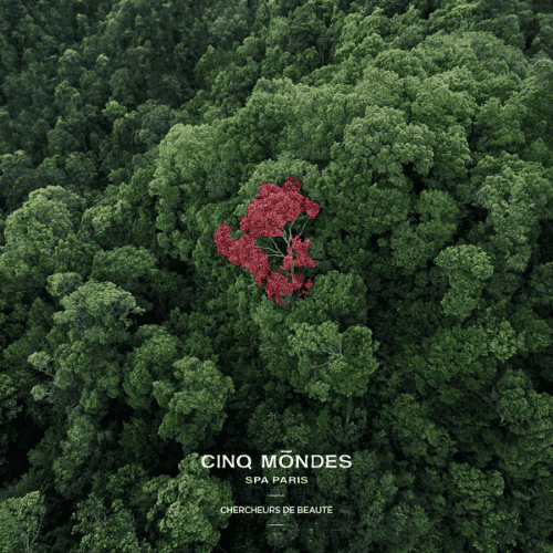 Cinq Mondes partenaire Thalasso & Spa Les Corallines